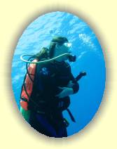 IMG_2007_05_29 14_48_08 * 2304 x 3072 * (529KB)